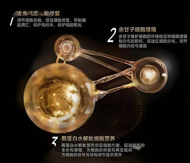 ec安盈外汇官网你还在犹豫？ec外汇官方网站教你轻松赚取外汇收入！
